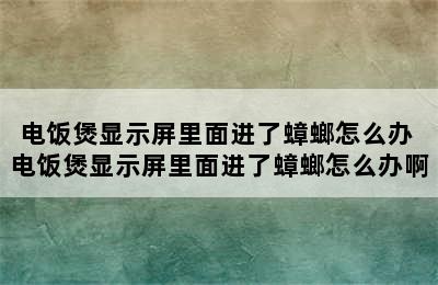 电饭煲显示屏里面进了蟑螂怎么办 电饭煲显示屏里面进了蟑螂怎么办啊